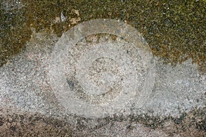 Old cement floor with moss