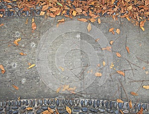 Old cement walkways for the background.