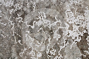 Old cement wall texture