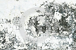 Old cement wall texture