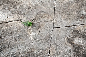 Old cement Wall Texture background image. Grunge Red Stonewall Background