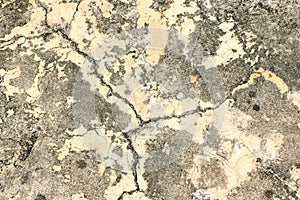 Old cement walls or floors have cracks.