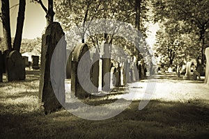 Old Cemeteries - Row of Tombstones photo