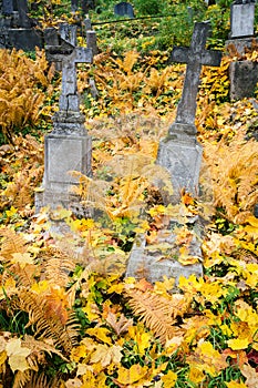 Old cemetery