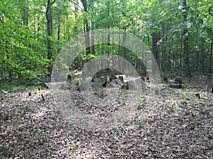 Old cemetery in distance in woods