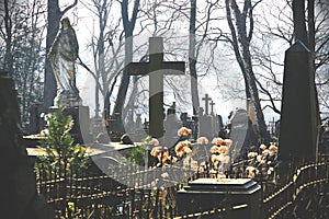 Old cemetery with grave stones and crosses in spring