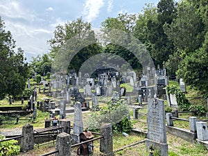 Old cemetery on the Karadjordje Hill / Smederevsko Staro groblje na KaraÄ‘orÄ‘evom brdu ili Staro groblje u Smederevu, Smederevo