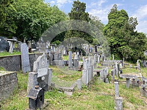 Old cemetery on the Karadjordje Hill / Smederevsko Staro groblje na KaraÄ‘orÄ‘evom brdu ili Staro groblje u Smederevu, Smederevo