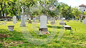 Old cemetery in Saint Augustine
