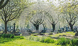 Old cemetery in spring time