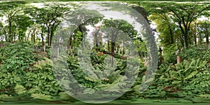 Old cemetery in summer. Graveyard with green trees Tombs in the forest with grass. 3D spherical panorama with 360 degree viewing a photo