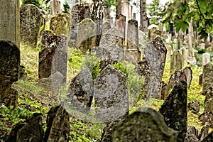Old cemetery tombstones from backside