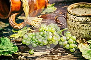 Old ceramic jug, mug and fresh grape