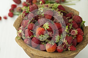 Old ceramic pot full of fresh red strawberries and clay on canvas. Healhty food fruits diet.