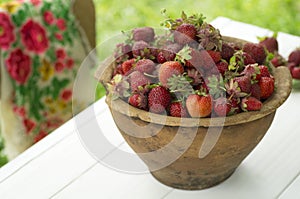 Old ceramic pot full of fresh red strawberries and clay on canvas. Healhty food fruits diet.