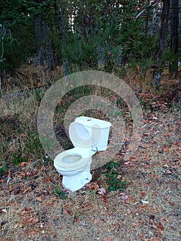 Old ceramic toilet in the nature park