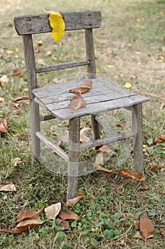 Old chair in the garden