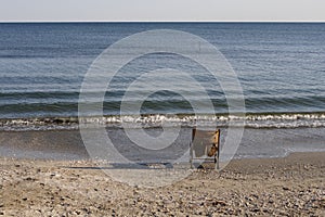 Old chair at seaside