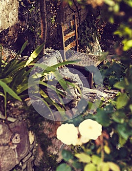 Old chair in secret garden in Athens