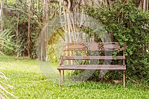 Old chairs in the park.