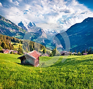 Old chalet on the lawn in Wengen village. Green morning scene of countryside in Swiss Alps, Bernese Oberland in the canton of Bern