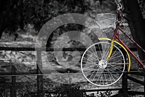 Old charming bicycle on the ropes Retro vintage