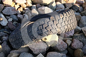 old chewed car tire in a junkyard