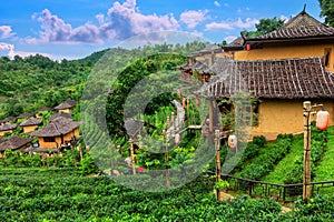Old chinese style house in tea plantation at Ban Rak Thai the village is surrounded by mountain in Mae Hong Son, Thailand