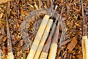 Old chisels in Workbench