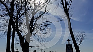 Old christian cross in a cemetery on a background of trees branches, sunlight and classic blue sky