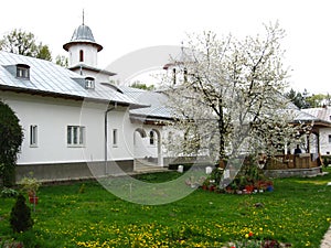 Old church in Romania 1