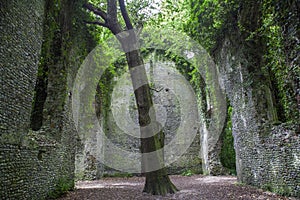 Old church ruin haunted by a witch