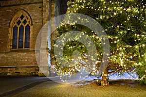 Old Church Window and Christmas Tree