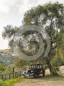 old Citroen car parked under a tree