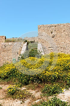 Old City Acre in the Spring- Mediterranean Coast