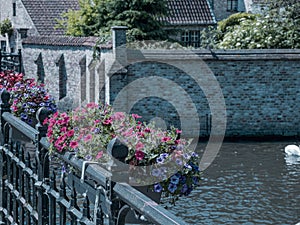 Starý mesto z bruggy v belgicko na leto 