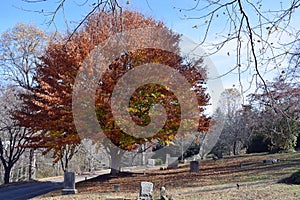 Old City Cemetery headstones