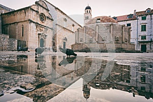 Old City of Dubrovnik. Historical town square with big Onofrio fountain, sunrise cityscape, Croatia