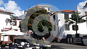 Old City of Funchal Madeira