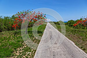 Old City of Trinidad, Cuba