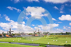 Old and classic dutch windmill in Zaanse Schans where is the famous landmark for travel in traditional and nature with canal and