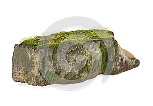 Old clay brick overgrown by green moss, white background