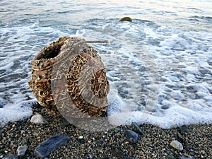 Old clay jar on the shore