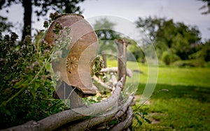 Old clay jug and green country garden