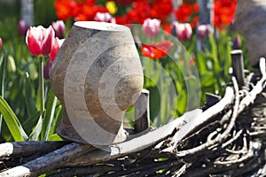 Old clay jug and tulips