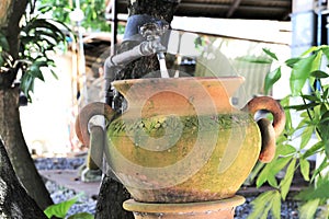 Old Clay pot sink in the garden