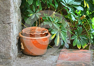 Old Clay pots