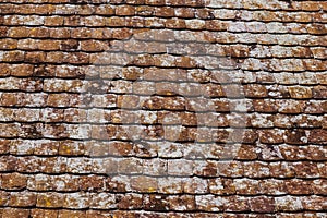 Old clay roof tiles with mold and algae on the surface