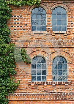 Old clinker house facade with two arched windows and vegetation, portrait format