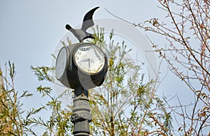 Old Clock Lamp Post